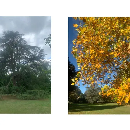 Les De La Chartreuse - Marigny - 3mnfuturoscope Prázdninový dům