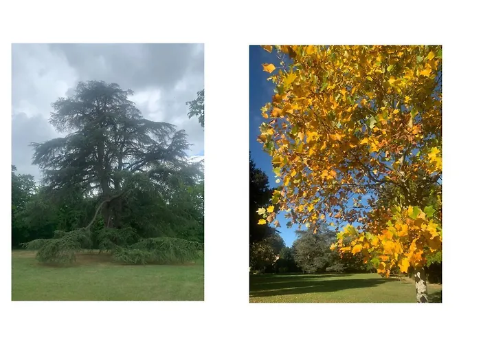 Les De La Chartreuse - Marigny - 3mnfuturoscope Сasa de vacaciones